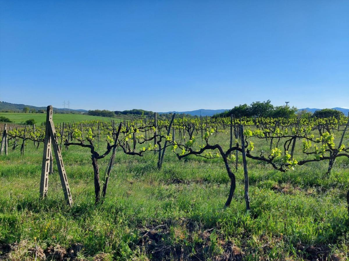 Tenuta I Lecci Terranuova Bracciolini Bagian luar foto