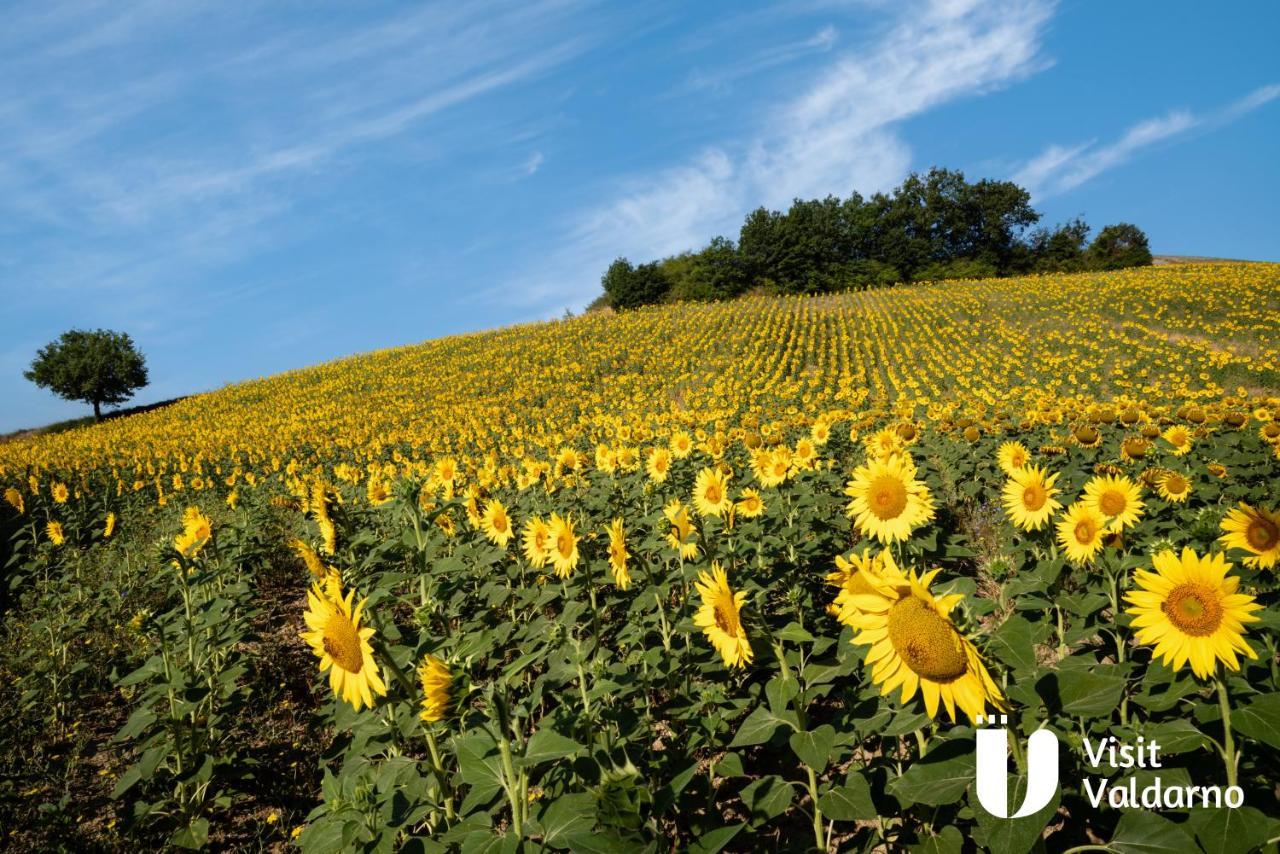 Tenuta I Lecci Terranuova Bracciolini Bagian luar foto