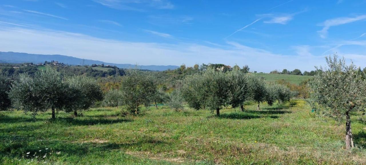 Tenuta I Lecci Terranuova Bracciolini Bagian luar foto