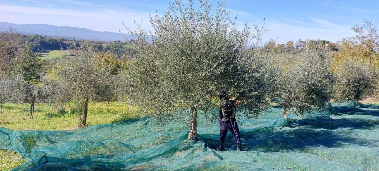 Tenuta I Lecci Terranuova Bracciolini Bagian luar foto